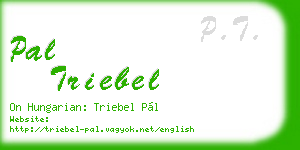 pal triebel business card